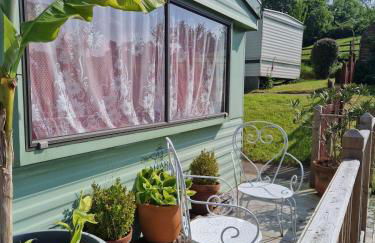 Audrey the Caravan of Dreams - Foto 8