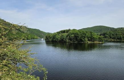 Ferienhaus Waldbaden im Nationalpark Eifel- am Bach - Foto 9