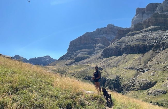 Apartahotel Canfranc - Foto 60