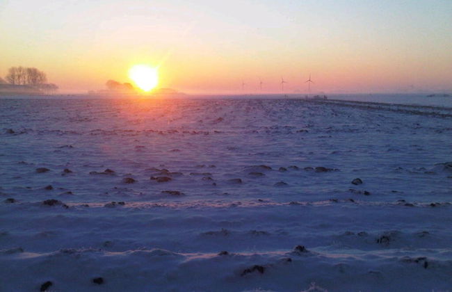 Authentic Farmhouse in Pingjum With Hot Tub - Foto 39