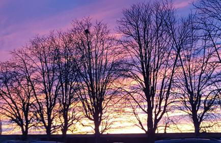 Domaine de Cantegrel - Gîtes de Charme et Suite Troglodyte en Périgord - Foto 54