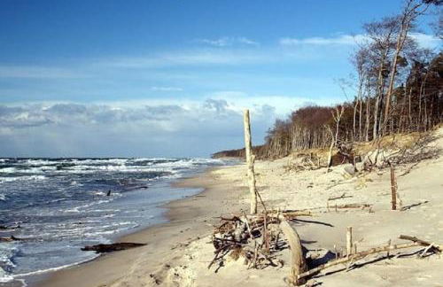 TROLLHUS - Großes familienfreundliches Ferienhaus - Foto 49