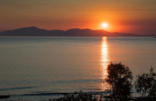 AÁSHNA Suites and Residences - Foto 56