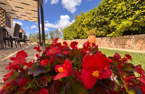 Villa B&B Antiche Macine del Salento - nel cuore del Salento - Foto 37