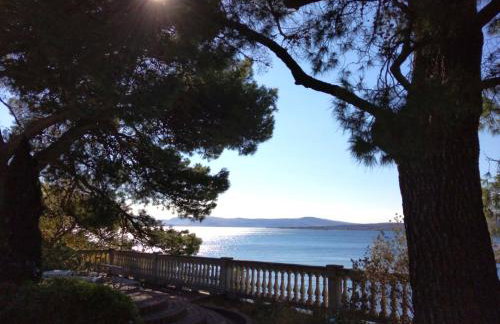 Villa Panthera - Foto 39