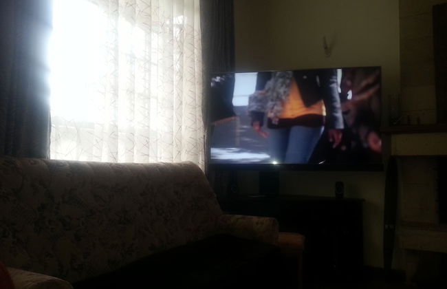 Nature Green - Foto 13