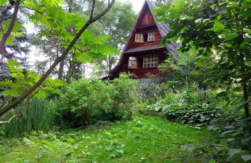 'chata usÓwek' - Foto 3