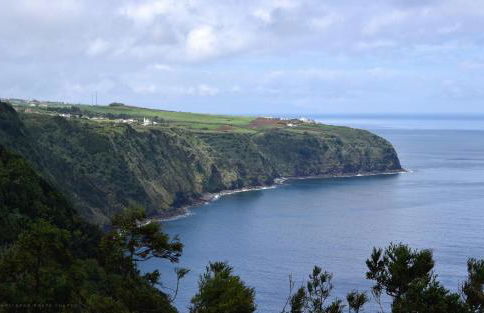 Sunset GreenHouse - Photo 49