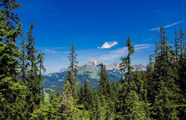 Apartment in Filzmoos Near Ski Amade - Photo 20