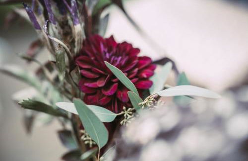 Carpe Deimern in der Lüneburger Heide - Foto 70