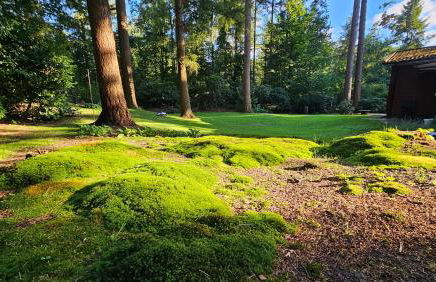 Schwedenhaus in Sandhatten - Foto 6