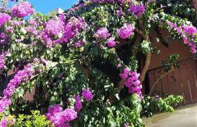 Lovely House - Foto 3