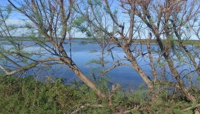 Casa Vacanze Nel Delta del Po - Foto 5