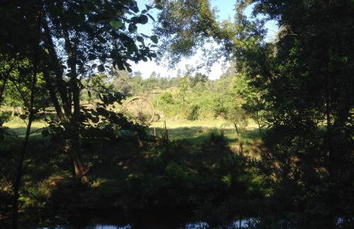 Casa da Avó - Foto 61