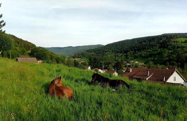Chalet in St Maurice Near Ballon D'alsace - Foto 39