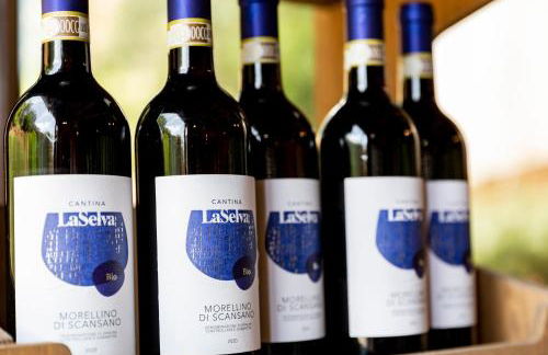 Azienda Agricola Club Le Cannelle - Foto 30