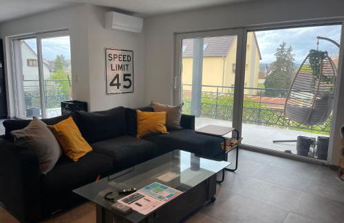 Colmar Appartement terrasse 10min centre ville - Foto 20