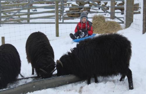 Bay Tree Cottage Accommodation - Photo 32