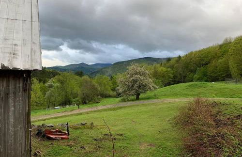 The Guest House at Sky Hollow - Foto 38