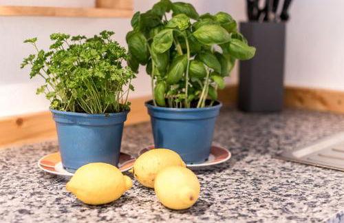 Gigantisch!Hochwertige Ferienwohnung in den Bergen - Foto 17