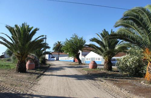 Monte Da Serralheira Agro Turismo - Foto 6