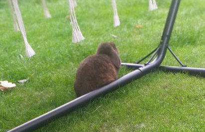 The LITTLE HOUSE in HULL - Foto 35