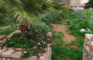 Creta guesthouse ARXONTIKO! - Foto 32