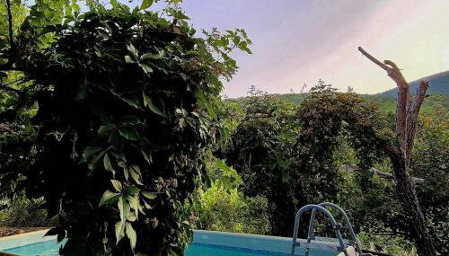 La Casa de Cadia 2 - Foto 2, Garden, Garden view