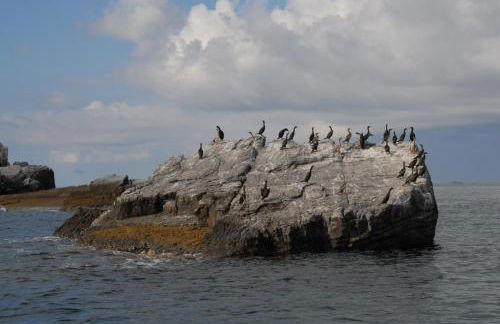 Villa Sofia - Photo 44