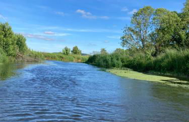 Au Domaine du Prédieu - Foto 18
