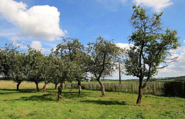 Spacious Country Villa - Foto 42