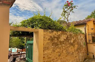 Ciliegia di Lari - Attico - Foto 37