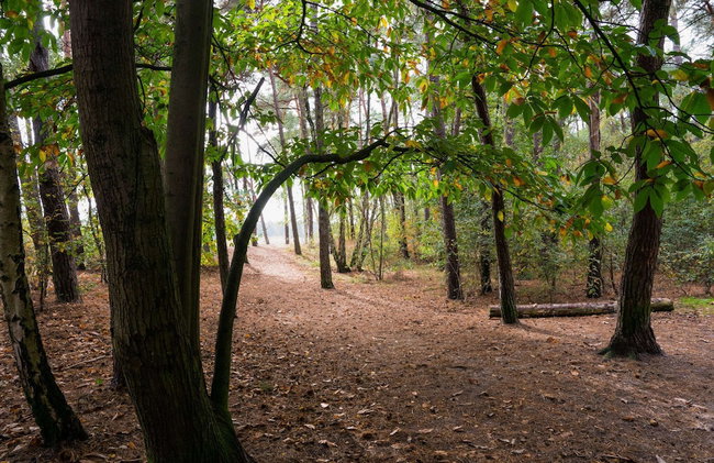 Holiday Home in Kaatsheuvel With hot tub - Foto 33