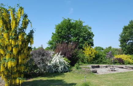 Spreewaldhaus zum Schoberplatz - Foto 45