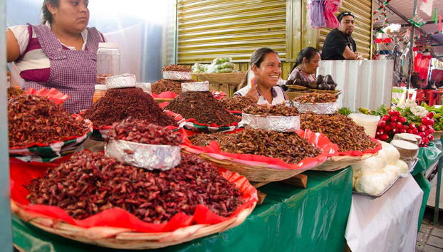 Comida y taller de cocina mexicana - Foto 5