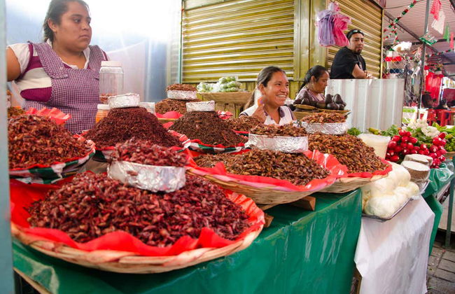Déjeuner et atelier de cuisine mexicaine - Photo 5