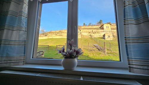 Ferienhaus und Straußwirtschaft im Weinberg - Foto 4