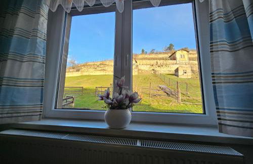 Ferienhaus und Straußwirtschaft im Weinberg - Foto 4