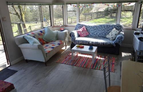 Canad Adar - Song of the Birds - Teifi Valley - Foto 38