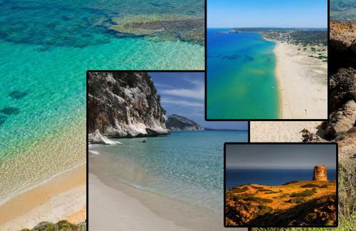 Domo Allegru - Foto 7