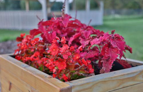 Apartamenty Wilga - spokojne miejsce z całorocznym zewnętrznym wspólnym jacuzzi, sauną i letnim basenem - Foto 65