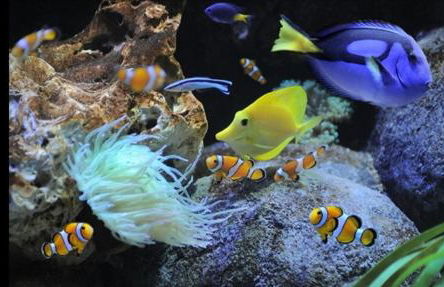 Casa Giulia near Lazise, Garda lake and Gardaland - Foto 25