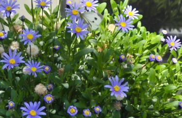 außergewöhnliches, historisches, spätgotisches Wohnhaus von 1519, Gries 5 - Foto 53