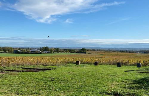 Domaine de la Noiseraie - Foto 17