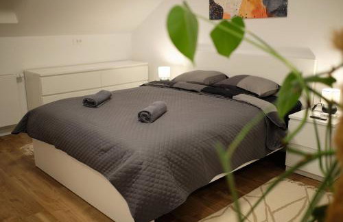 Martinović apartman - Foto 11