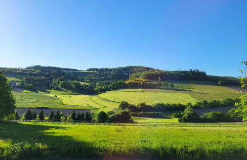Lausebuche Im Sauerland - Foto 22
