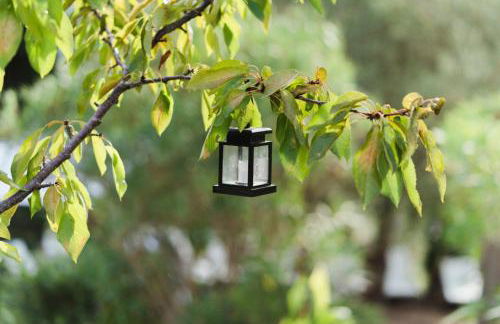 Podere Borgaruccio - Foto 66