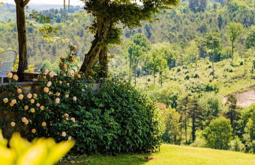 Rustic Chic Country Cottage - Foto 22