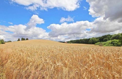Alter Stall - Photo 11