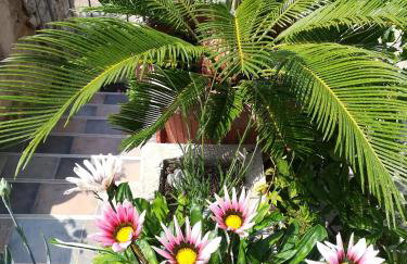 Apartment Neno - Terrace & Parking - Foto 34